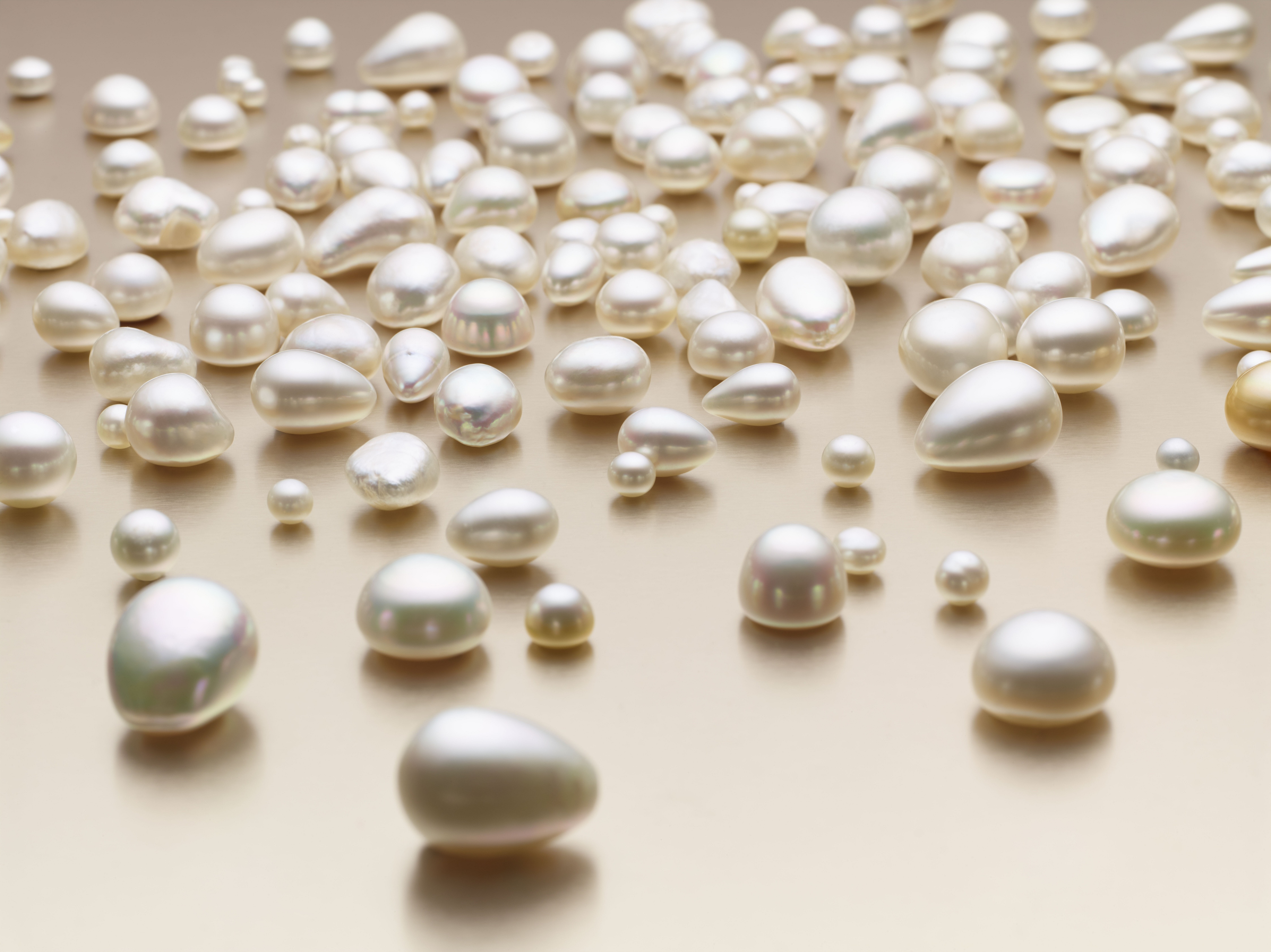 Natural Australian South Sea Pearls by Paspaley Pearling Company