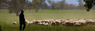 Pastoral